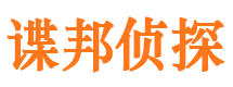 莲都市侦探调查公司